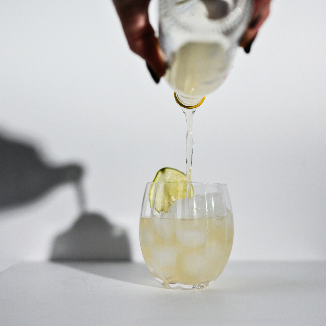 Petal Stemless Glass- Clear- Set of 4