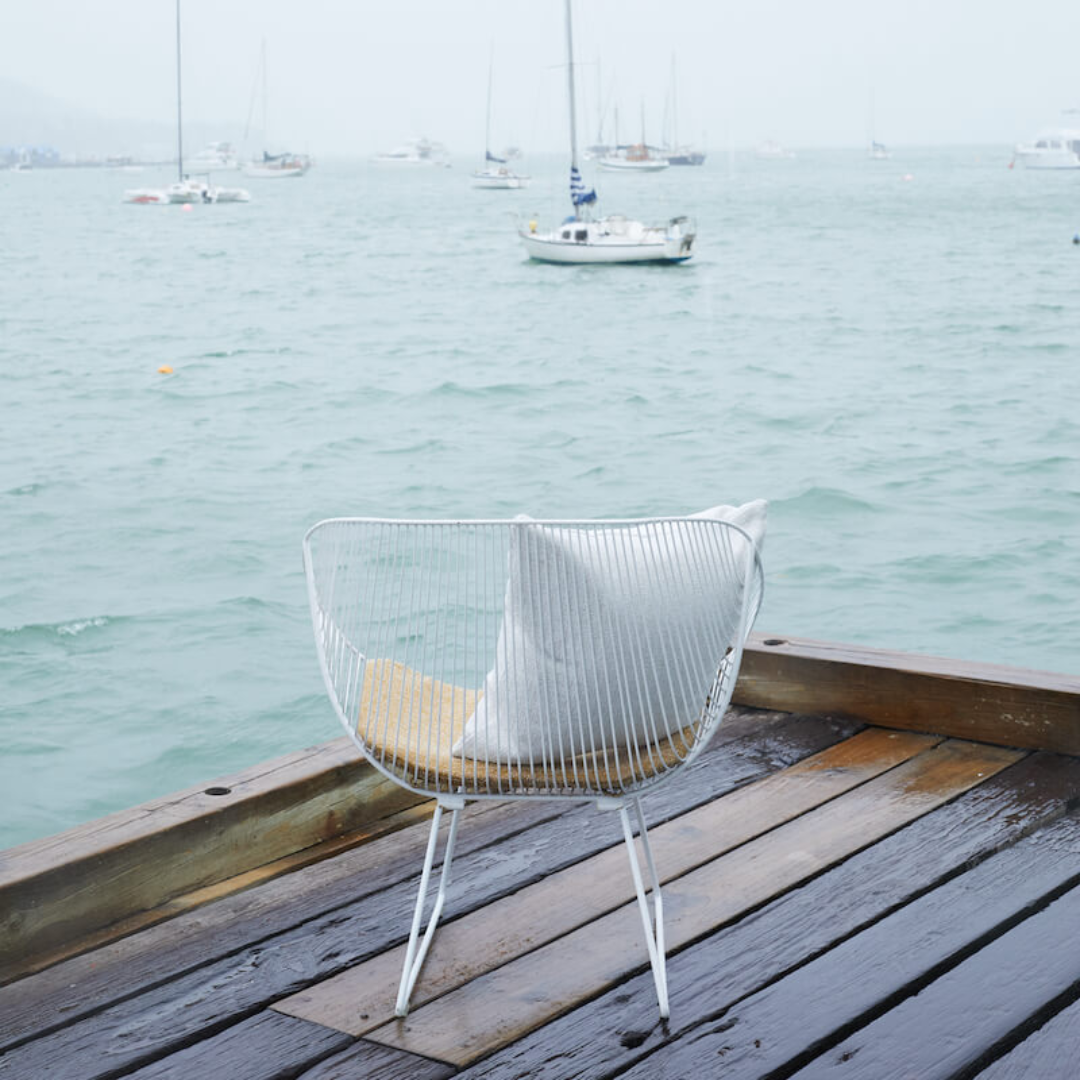 Coromandel chair in stainless