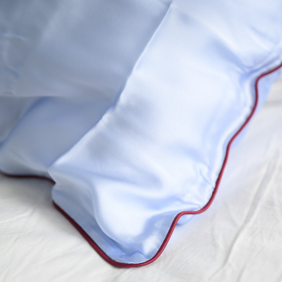 100% Pure Silk Pillowcase - Sky Blue with Cocoa Piping