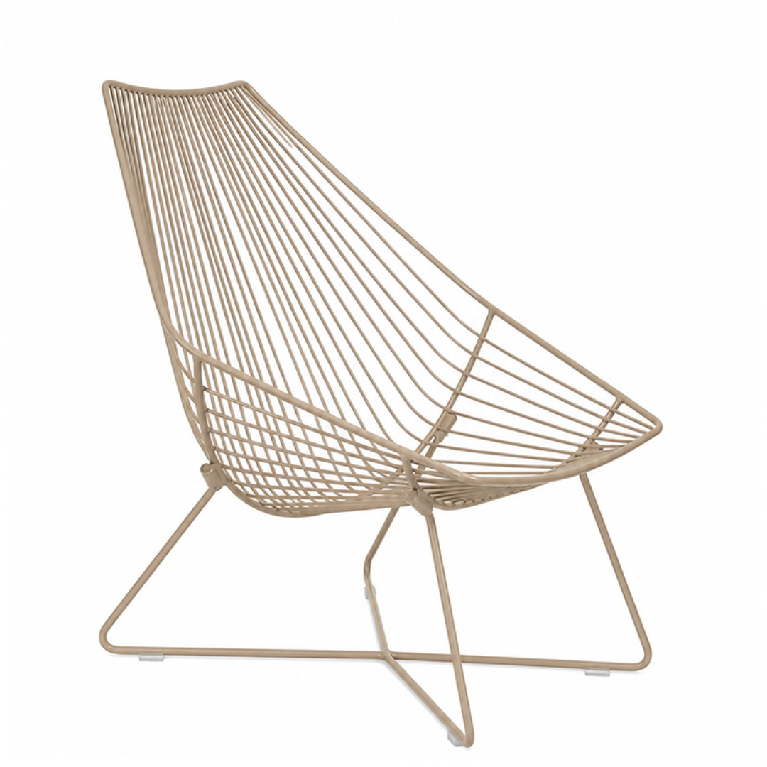 Stainless steel piha in putty