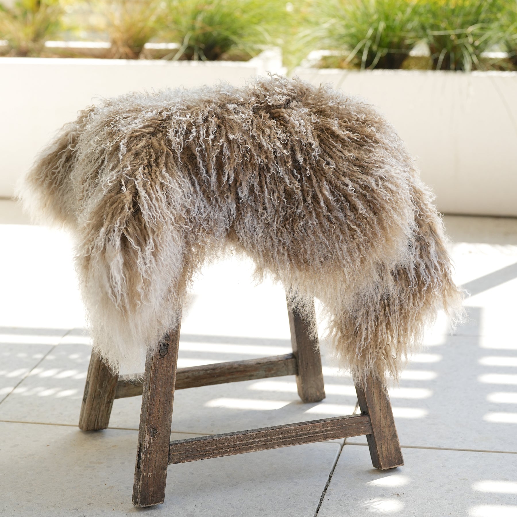 Tibetan lambskin rug in Fawn With Tips