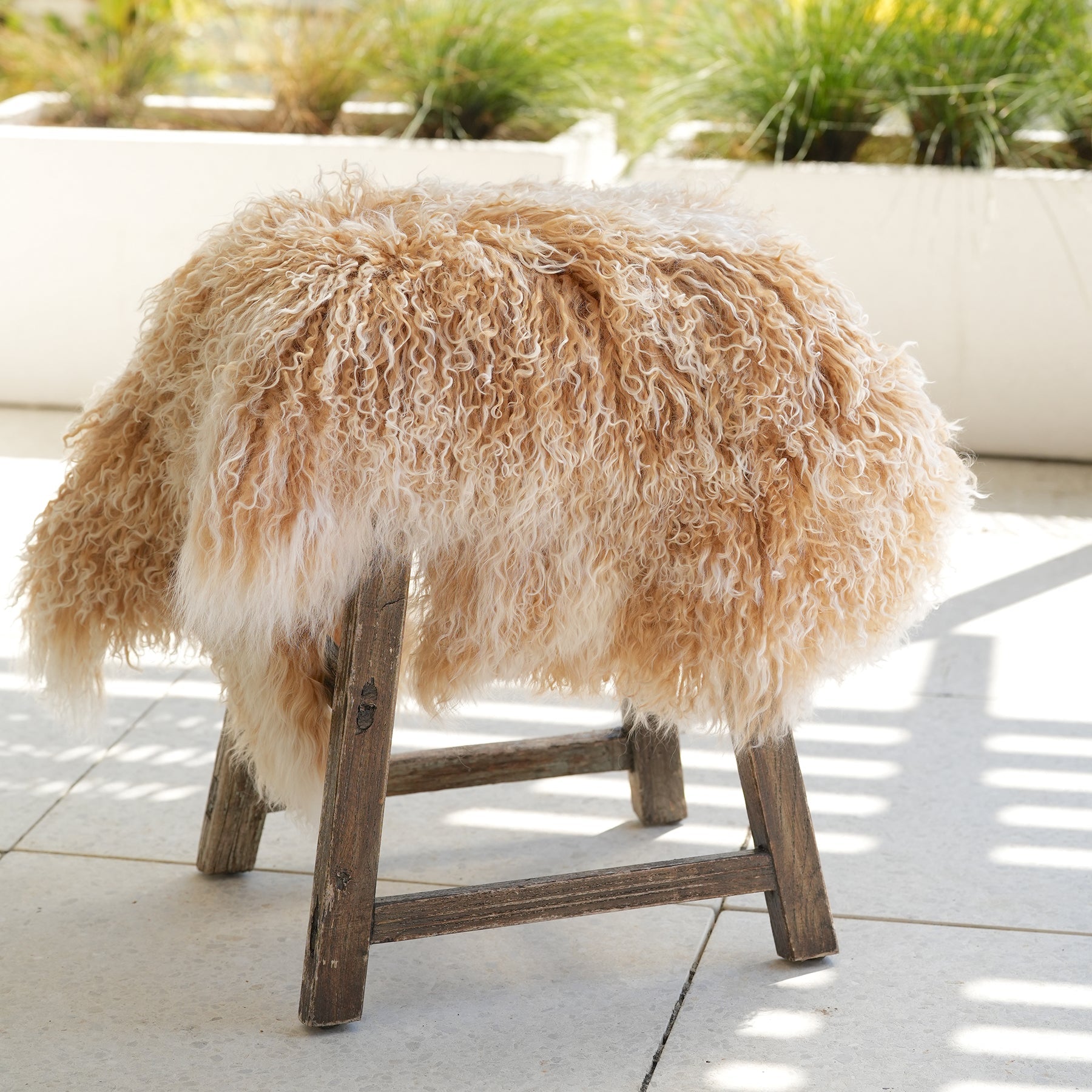 Tibetan lambskin rug in Light Caramel With Tips
